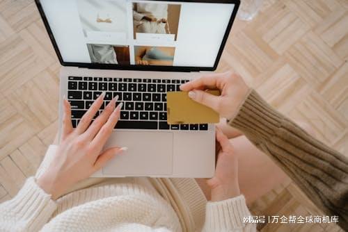 立站成功之道：案例解析与经验总结尊龙凯时新版APP首页跨境电商独(图2)