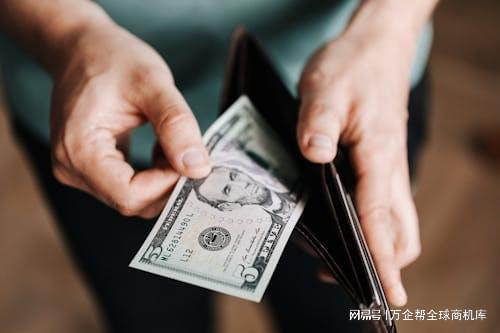 立站成功之道：案例解析与经验总结尊龙凯时新版APP首页跨境电商独(图4)