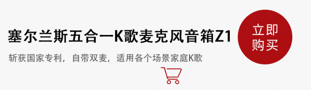 K歌+电源+收音机+支架5合1只要100多！尊龙凯时网牛！中国制造强到如此可怕了！音箱+(图17)